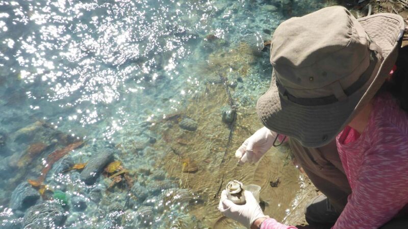 Tomándole el pulso a la cuenca: CEDEUS monitorea Río Maipo junto a la Dirección General de Aguas