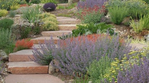 Xerojardinería, la tendencia que busca reducir el césped y flora exótica en parques y jardines