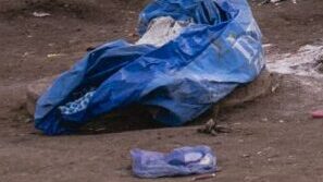¿Cuánto pesa la basura en el Gran Concepción?