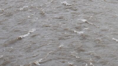 María Molinos, Jorge Gironás y Pablo Pastén/¿Y si no se hubiera derramado petróleo en el agua potable de Osorno?