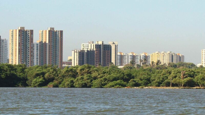 Humedales costeros urbanos: una solución para ciudades sostenibles en América Latina