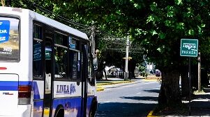 Miércoles 01 de julio/ Webinar “Adaptando la Movilidad Urbana post Covid-19”