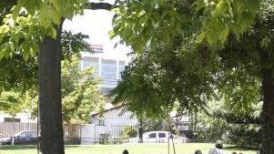 La forestación urbana: contra el cambio climático y a favor de la salud