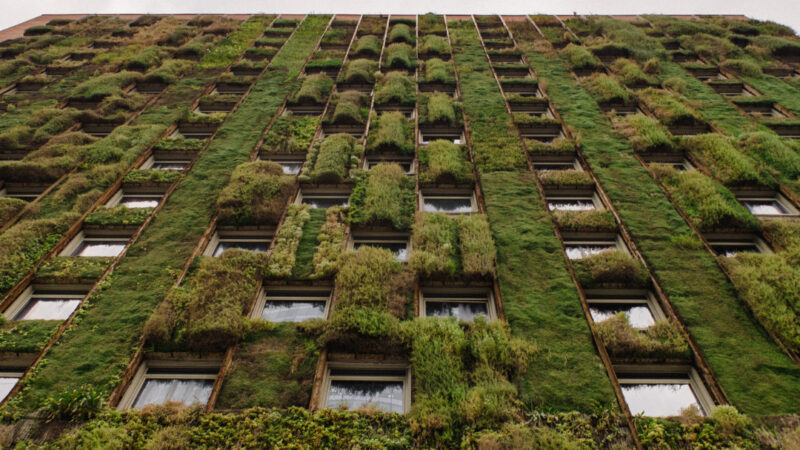 Entrevista en T13 Radio/ Felipe Encinas y los desafíos de la arquitectura sustentable