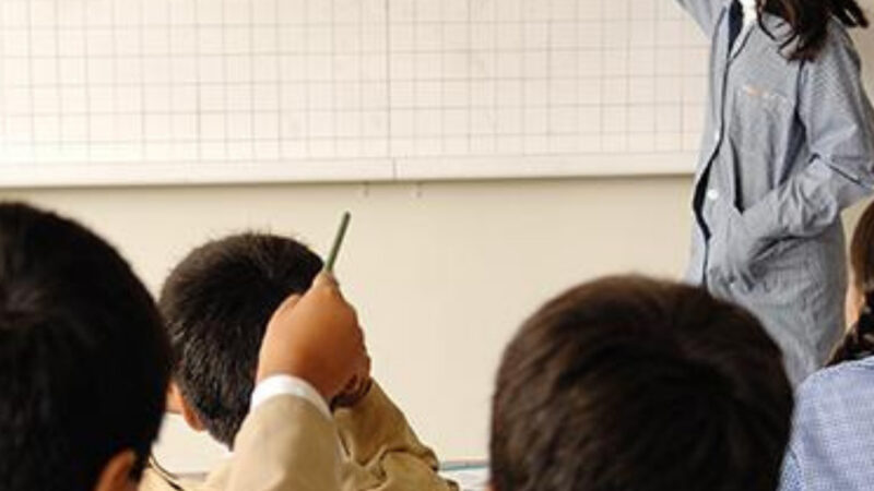 Educación Ciudadana y Sustentabilidad: Importancia para el futuro