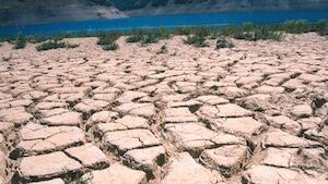 Juan Carlos Muñoz y Comité Científico Climático/ Por una ley marco para el cambio climático