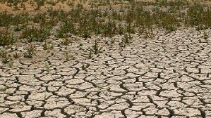 Investigadores CEDEUS participan en la elaboración del proyecto de Ley Marco de Suelos
