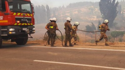 ¿Cómo prevenir los incendios forestales? Investigador explica las consecuencias para el ecosistema