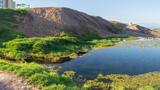 Carolina Rojas/ La relevancia de la Ley de Humedales Urbanos: «En este nuevo Chile, nos importa la naturaleza, el agua y la vida»