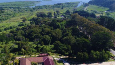 Humedales y Santuario de la Naturaleza: claves para destrabar el Plan Regulador del Gran Concepción