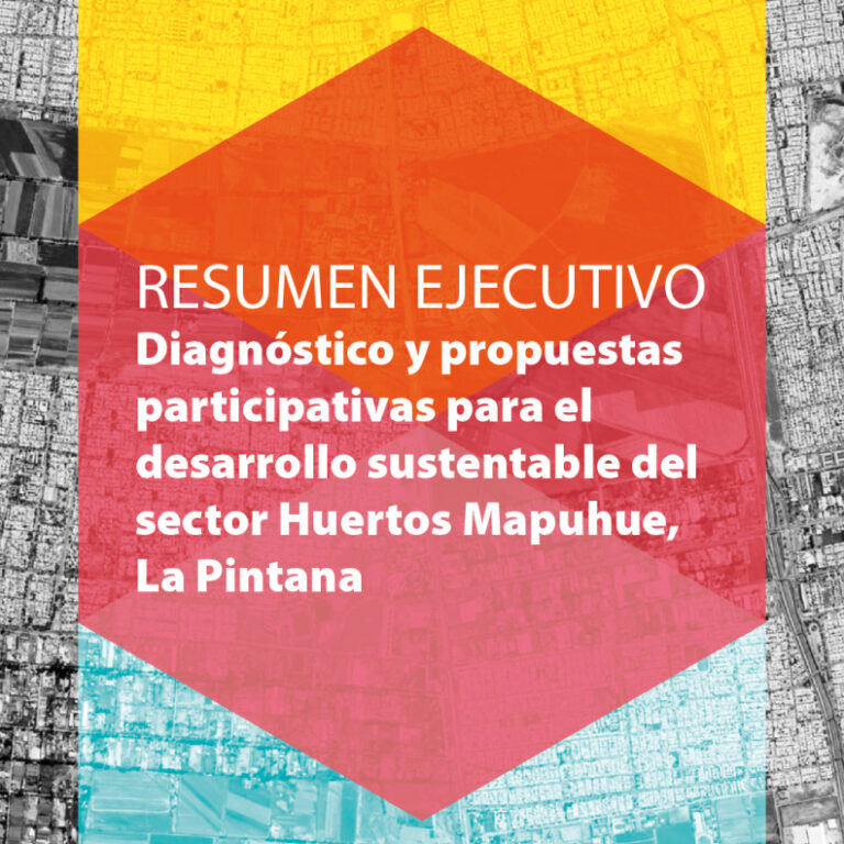 Resumen ejecutivo: Diagnóstico y propuestas participativas para el desarrollo sustentable del sector Huertos Mapuhue, La Pintana