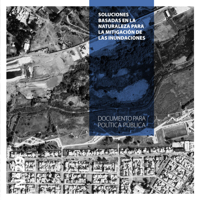 Soluciones basadas en la naturaleza para la mitigación de las inundaciones 