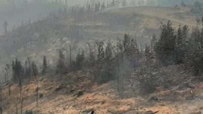 Manejo del paisaje: reto para avanzar en gestión del riesgo de megaincendios