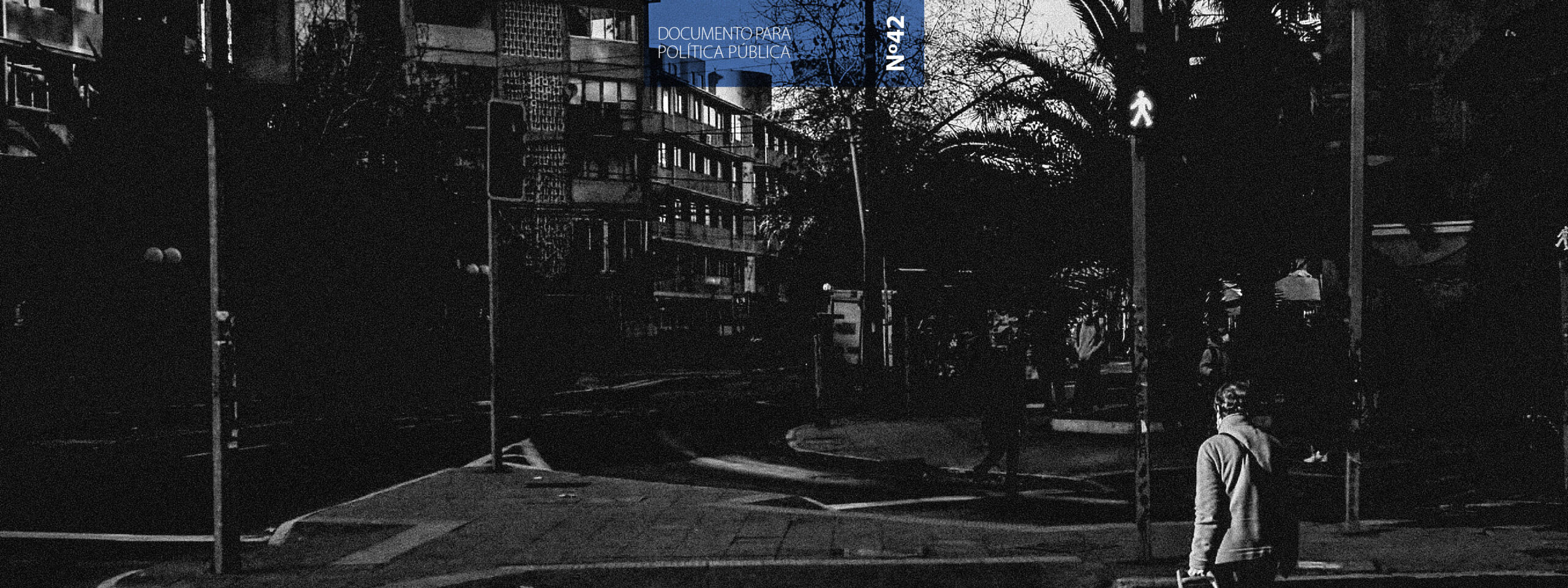 Conoce nuestro DPP N°42: Inseguridad y Gestión Municipal