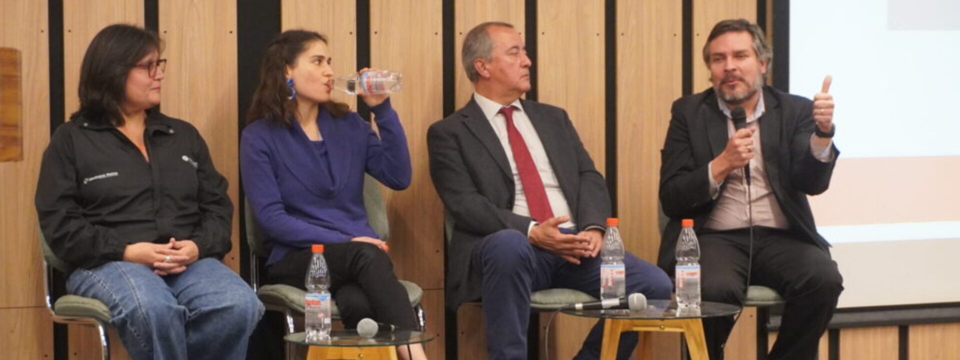 Seminario Aguas Lluvias y resiliencia climática: nuevos desafíos para las ciudades sustentables