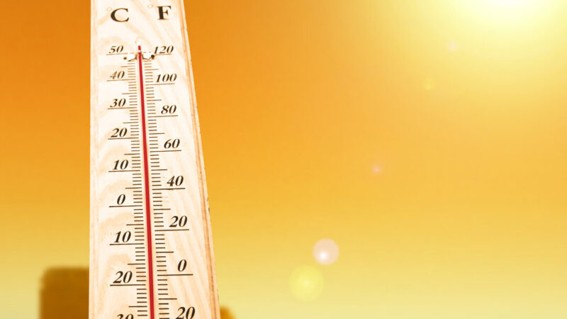 Francisco de la Barrera/ Más naturaleza para no morir de calor
