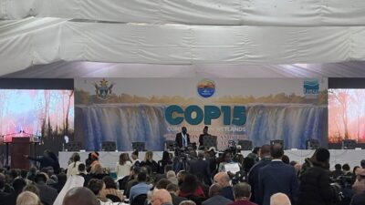 Carolina Rojas/ COP15 Ramsar: Chile alza la voz por los humedales