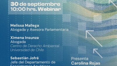 CEDEUS lanza PHULSO: la nueva plataforma para el monitoreo y protección de humedales urbanos