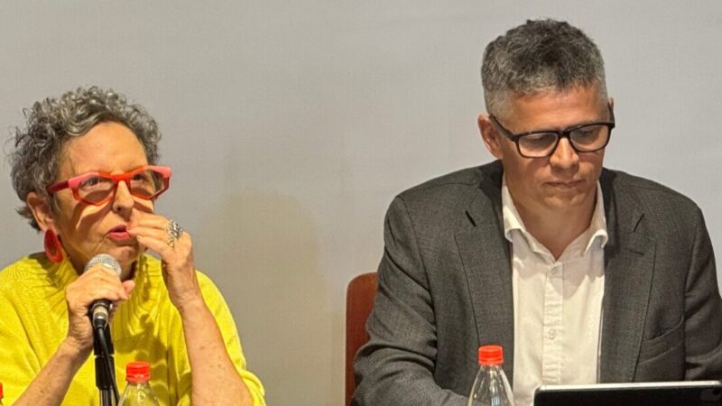 Raquel Rolnik: «Es urgente reimaginar la vivienda como un derecho»