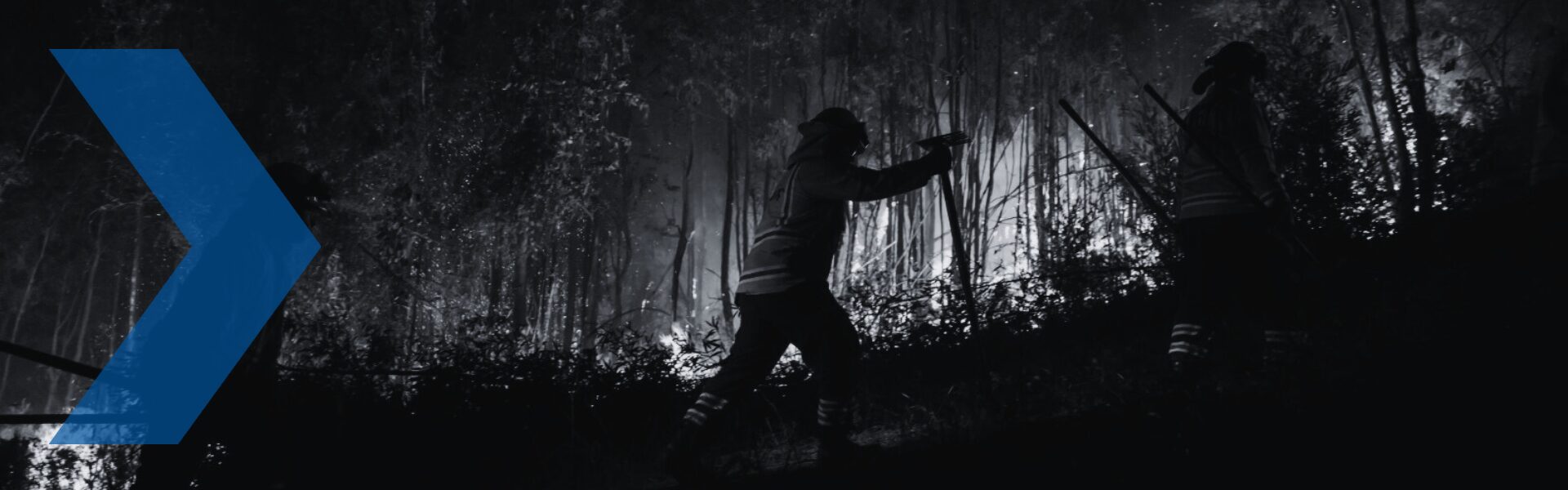 Francisco de la Barrera realiza un balance de los incendios forestales en el sur