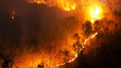 Incendios forestales: prevención, manejo del territorio y resiliencia ante la propagación del fuego