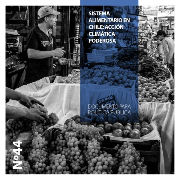 Sistema Alimentario en Chile: Acción Climática Poderosa