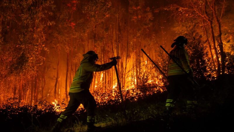 Francisco de la Barrera realiza un balance de los incendios forestales en el Biobío y Ñuble