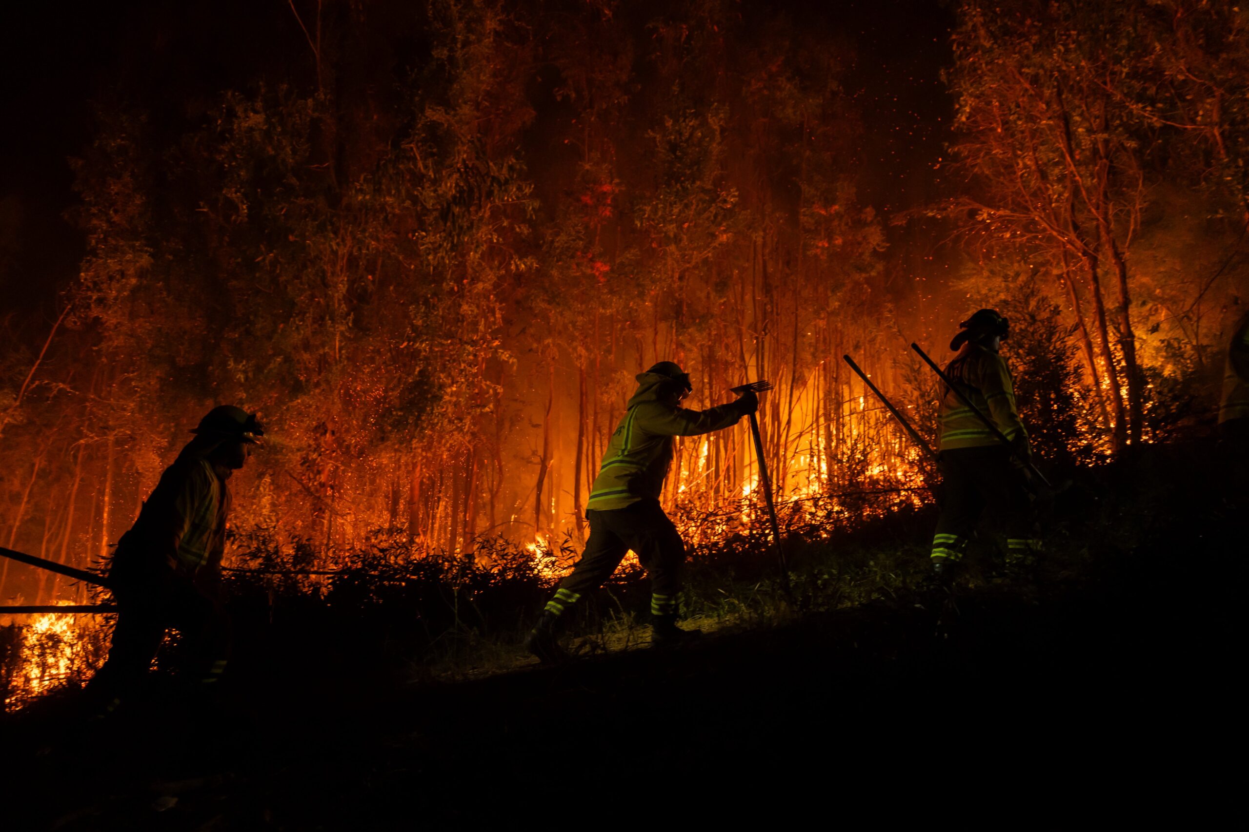 incendio forestal bio bio