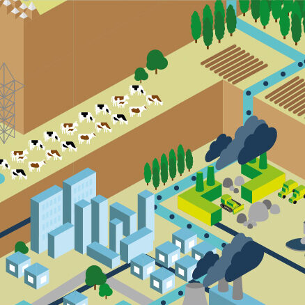 Contaminación
