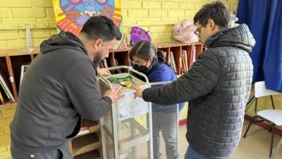 Trabaja como Encargada/o de Transferencia en Concepción